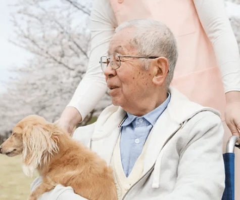 Falcon ridge rehabilitation